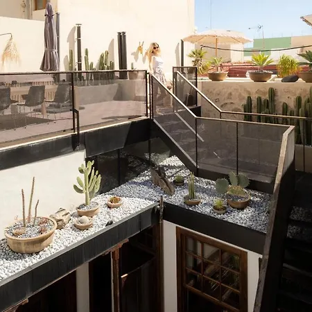 Casa Oasis * 라스팔마스